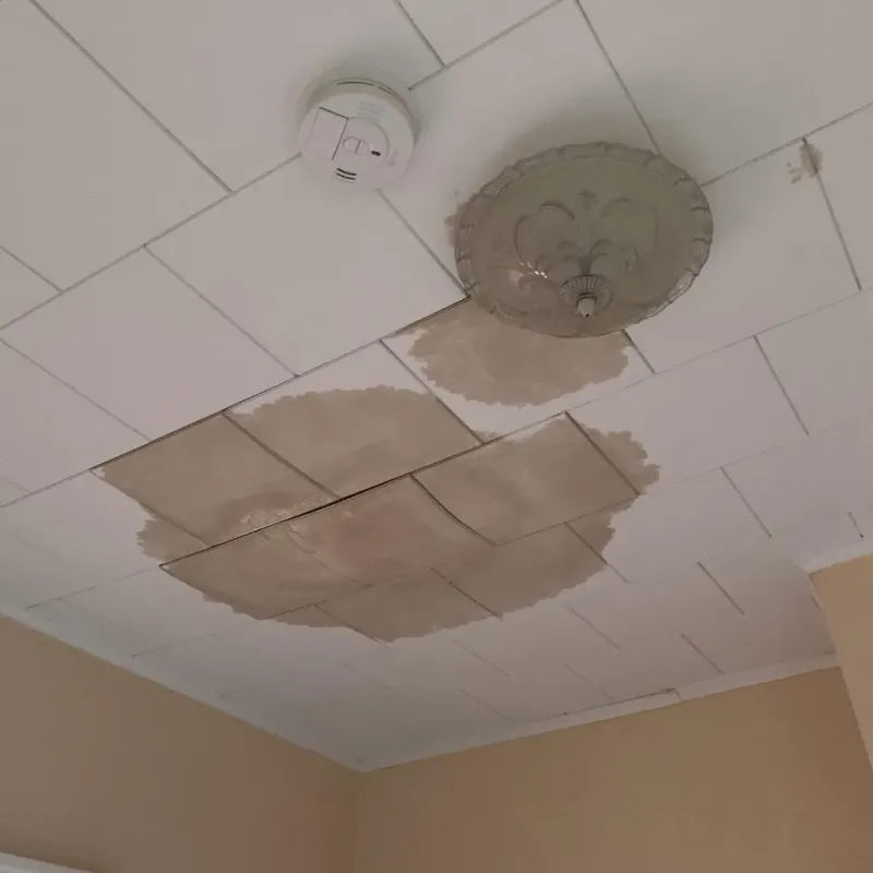 Ceiling Water Damage Repair in Farrell, PA