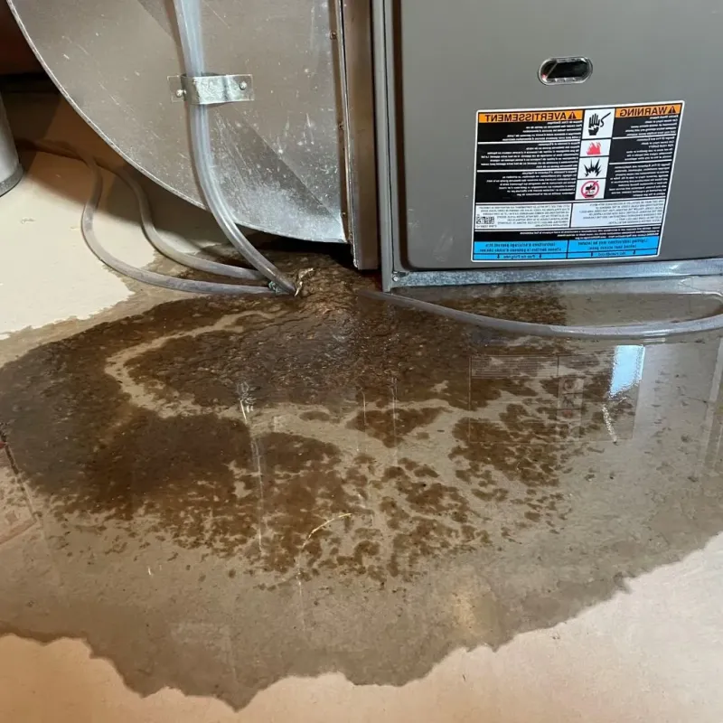 Pipe Burst and Leak Restoration in Farrell, PA
