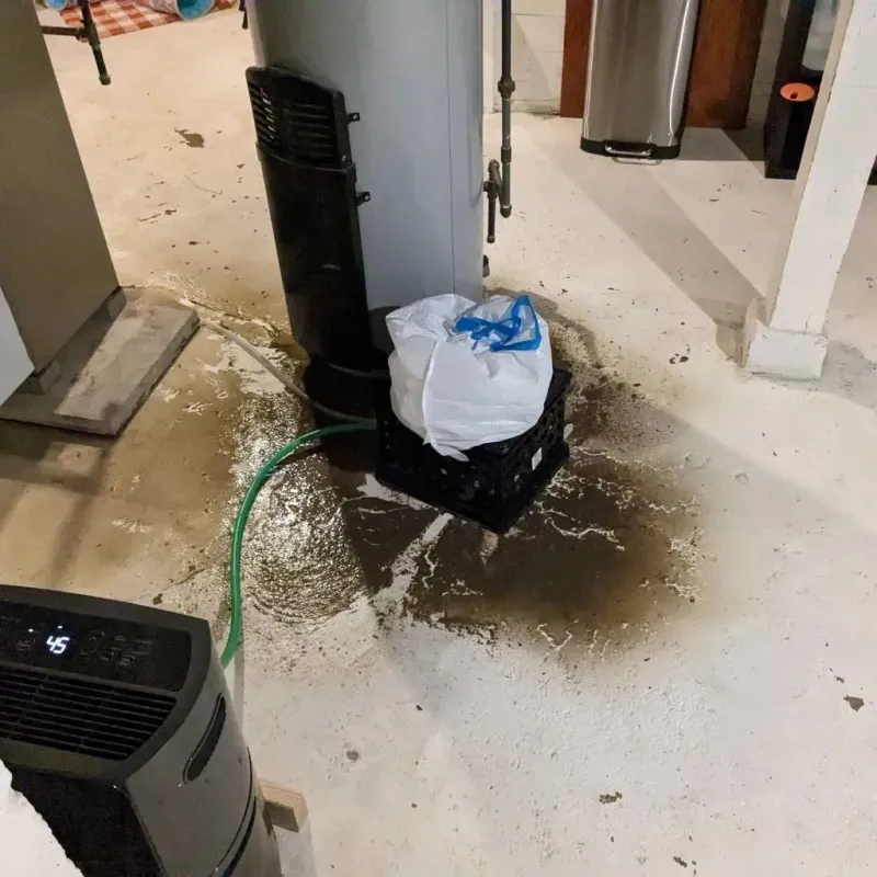 Sewage Backup Cleanup Service in Farrell, PA